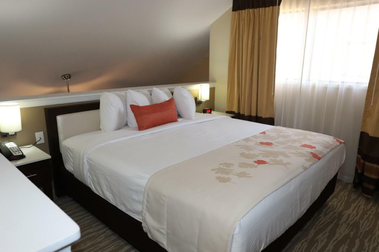Hawthorn Suites By Wyndham Detroit Southfield Kültér fotó